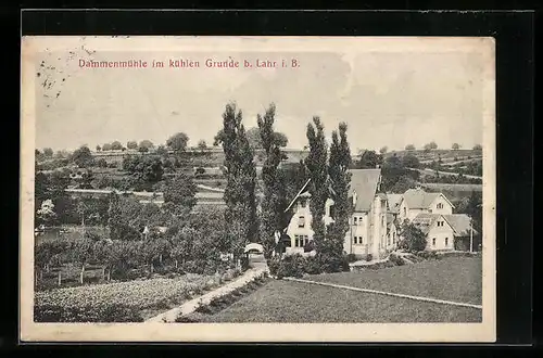 AK Lahr i. B., Dammenmühle im kühlen Grunde