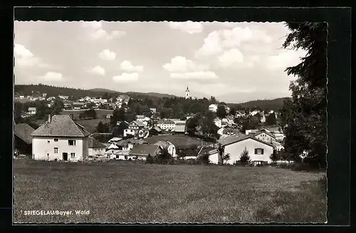 AK Spiegelau /Bayer. Wald, Totalansicht der Ortschaft