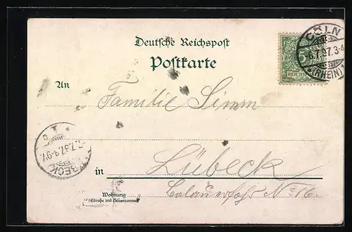 Lithographie Köln, Dom, Stadtpanorama