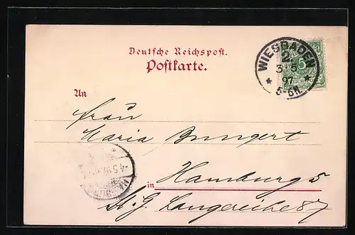 Lithographie Rüdesheim, Stadtpanorama, National-Denkmal