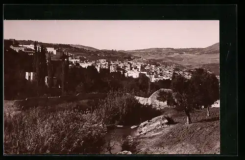 AK Fes, Vue générale du Borge Sud