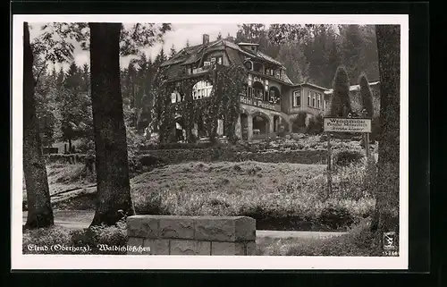 AK Elend / Oberharz, Hotel Waldschlösschen