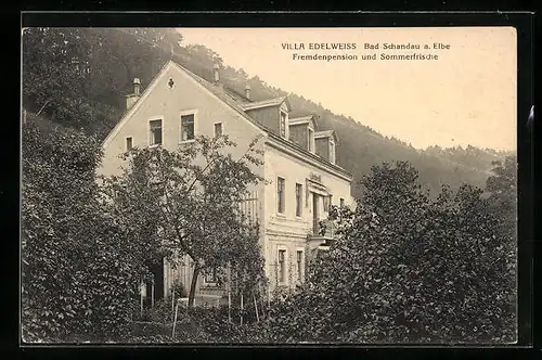 AK Bad Schandau a. Elbe, Fremdenpension Villa Edelweiss