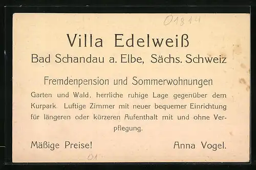 AK Bad Schandau a. Elbe, Fremdenpension Villa Edelweiss