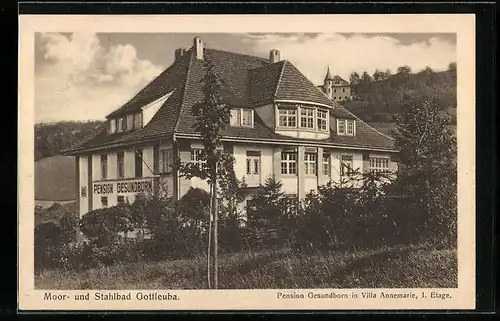 AK Gottleuba, Pension Gesundborn in Villa Annemarie