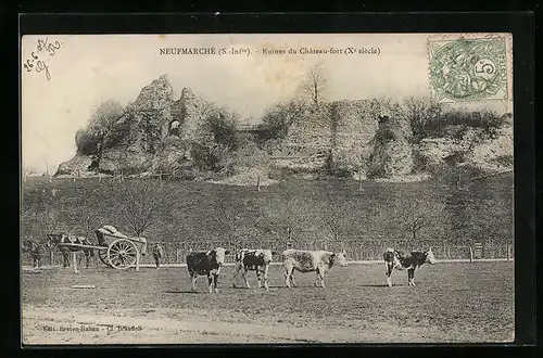 AK Neufmarché, Ruines du Chateau-fort