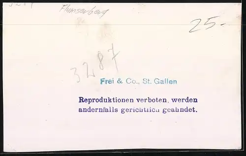 Fotografie Frei & Co. St. Gallen, Ansicht Flumserberg, Tannenbodenalp mit Kurhäusern & Gebirgspanorama