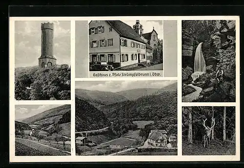 AK Strümpfelbrunn /Odenw., Gasthaus-Pension zur Pfalz, Turm, Wasserfall