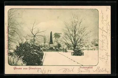 AK Elmshorn, Denkmal Probstenfeld im Winter