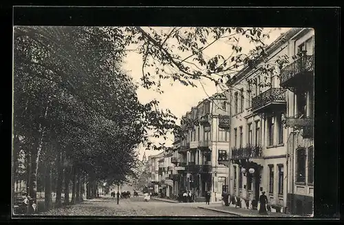 AK Bad Nauheim, Partie in der Park-Strasse