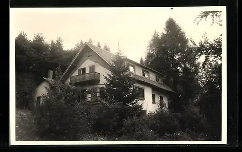 Foto-AK Trienz /Kr. Mosbach, Waldhaus im Odenwald