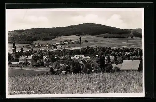 AK Grosspostwitz /Laus., Ortsansicht mit Feldern und Waldblick