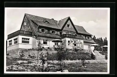 AK Schellerhau /Erzgeb., Fremdenheim Mayenhof