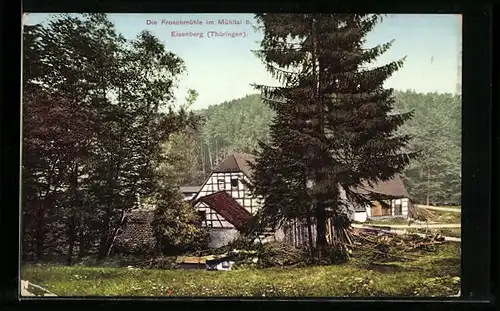 AK Eisenberg /Thüringen, Die Froschmühle im Mühltal