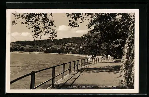 AK Waldshut, Partie an der Rheinpromenade