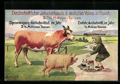 AK Volkswirtschaftliche Wahrheiten, Durschnittlicher Jahresverbrauch in Fleisch