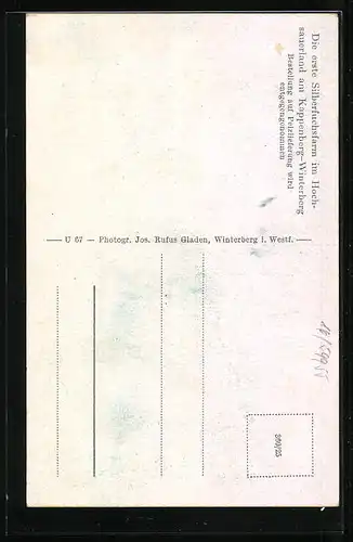 AK Kappenberg-Winterberg, Gesamtansicht d. Fuchsfarm v. hohen Asten gesehen, Teilansicht, 4 Monate alte Silberfüchse