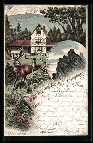 Lithographie Ilsenburg / Harz, Forsthaus Plessenburg mit Hirsch, Ilsenstein