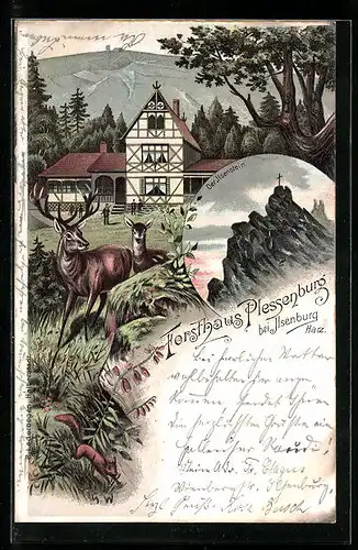 Lithographie Ilsenburg / Harz, Forsthaus Plessenburg mit Hirsch, Ilsenstein