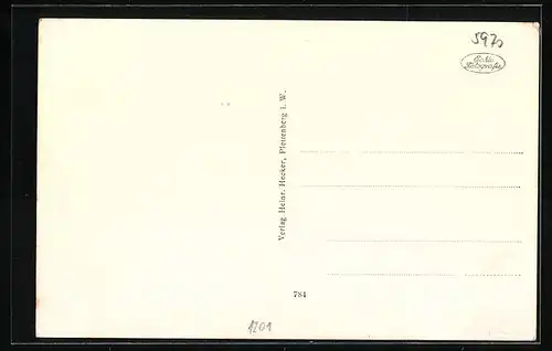 AK Plettenberg i. W., Ortsansicht aus der Vogelschau