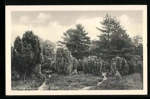 AK Lohbergen /Lüneburger Heide, Heidepartie mit Bäumen