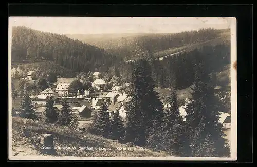 AK Wildenthal i. Erzgeb., Teilansicht aus der Vogelschau