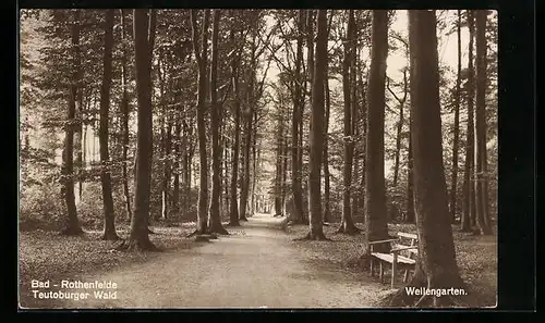 AK Bad Rothenfelde /Teutoburger Wald, Partie im Wellengarten