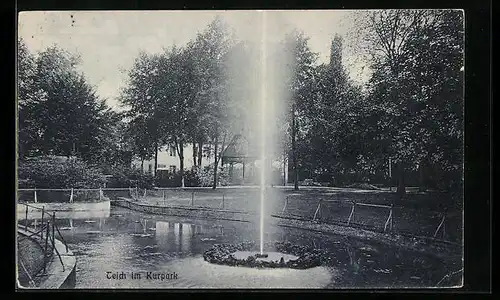 AK Bad Rothenfelde a. Teutoburger Wald, Teich im Kurpark