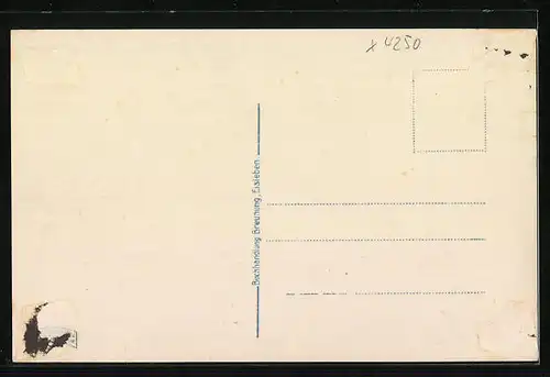AK Eisleben, Partie am Marktplatz