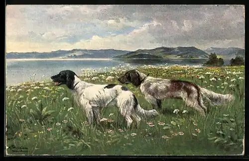 Künstler-AK Alfred Schönian: Zwei Jagdhunde auf einer Blumenwiese