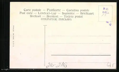 Künstler-AK Alfred Schönian: Gelbkopfamazonen auf ihrer Sitzstange