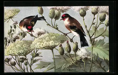 Künstler-AK Alfred Schönian: Zwei Vögel sitzen auf Blüten