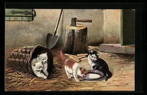 Künstler-AK Alfred Schönian: Katzen mit Milchteller
