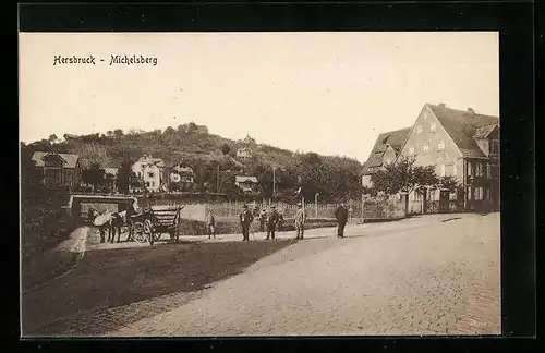 AK Hersbruck-Michelsberg, Ortsansicht mit Pferdekutsche