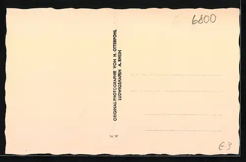 AK Mannheim, Friedrichsplatz mit Wasserturm