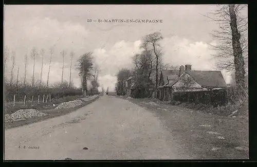 AK St-Martin-en-Campagne, Landstrasse mit Anwesen