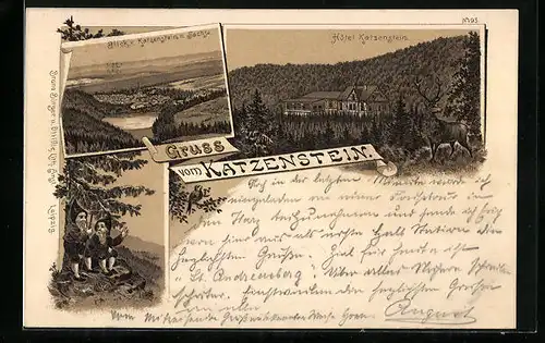 Lithographie Bad Sachsa, Hotel Katzenstein, Blick zur Ortschaft, Zwerge