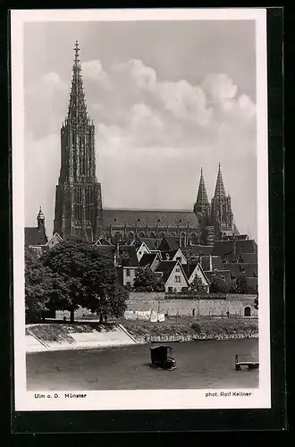 AK Ulm a. D., Teilansicht mit dem Münster vom Donauufer