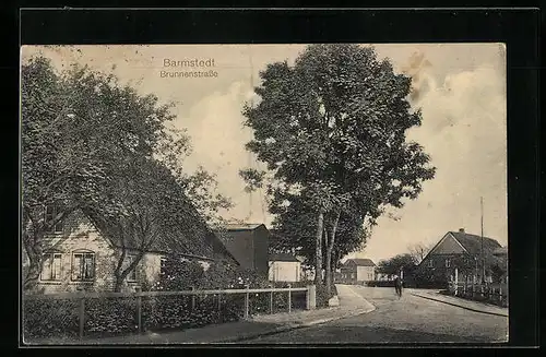 AK Barmstedt, Partie in der Brunnenstrasse