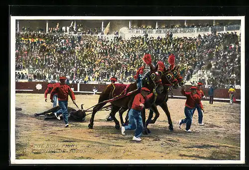 AK Corrida De Toros, Arrastre del toro, Stierkampf