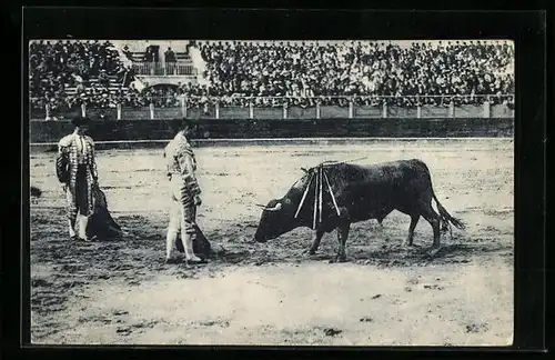 AK Despucs de una buena estocada, Stierkampf