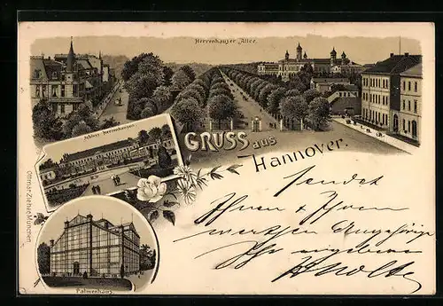 Lithographie Hannover, Herrenhauser Allee, Schloss Herrenhausen, Palmenhaus