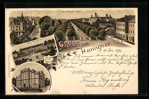 Lithographie Hannover, Herrenhauser Allee, Schloss Herrenhausen, Palmenhaus