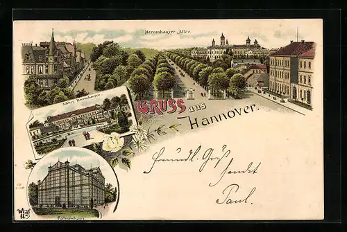 Lithographie Hannover, Herrenhäuser Allee und Palmenhaus