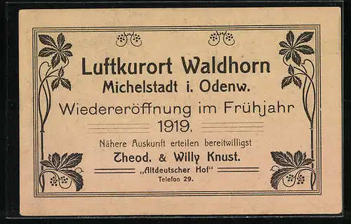 AK Michelstadt /Odenw., Hotel Luftkurort Waldhorn / Altdeutscher Hof T. u. W. Kunst, Wiedereröffnung 1919