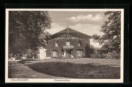 AK Kellinghusen, Haus Hermannshöhe mit Strasse