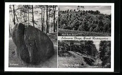 AK Rosengarten, Schwarze Berge-Karlstein, Paul-Roth-Stein, Hohlweg im Forst