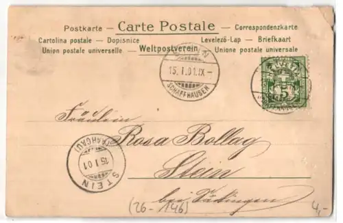 Glitzer-Perl-AK Zweige mit Blättern und Früchten