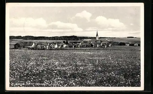 AK Wald bei Markt-Oberdorf /Allg., Ortspanorama hinter einer Wiese