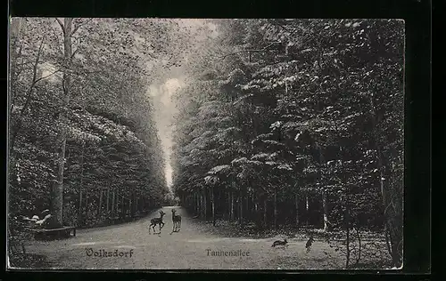 AK Volksdorf, Tannenallee mit Waldtieren